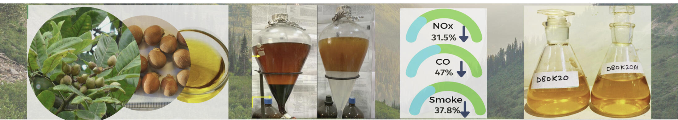 Non-edible seeds to Biodiesel Additives